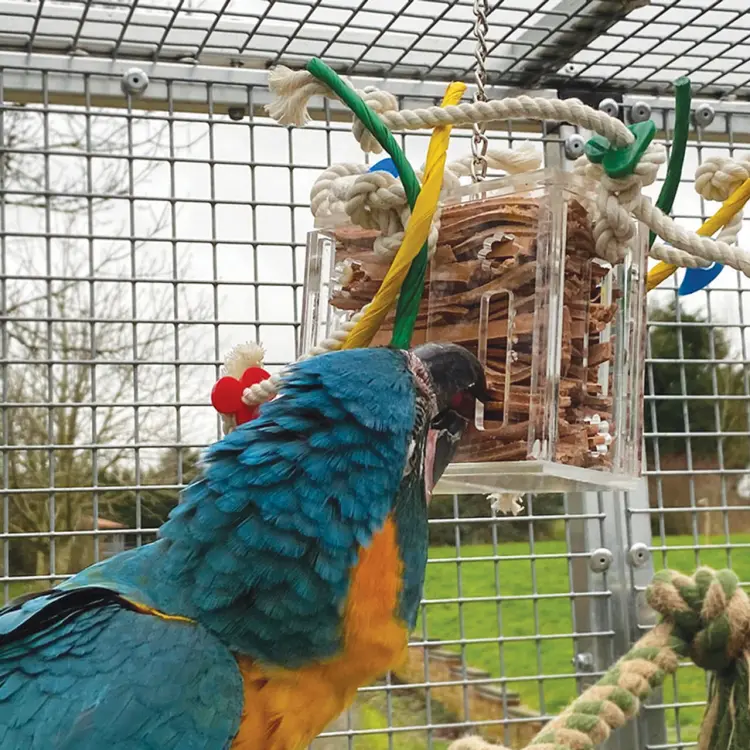 Květinové míčky | Zdravá svačina nebo hračka do tlapky | pro všechny papoušky 3 kusy od ParrotPlanet.cz