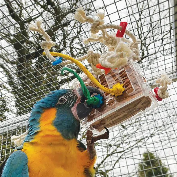 Květinové míčky | Zdravá svačina nebo hračka do tlapky | pro všechny papoušky 3 kusy od ParrotPlanet.cz
