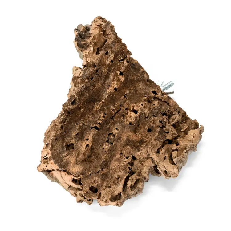 Přírodní bidélko z kůry korkového dubu S | pro malé a střední papoušky | korkové bidélko pro papoušky od ParrotPlanet.cz