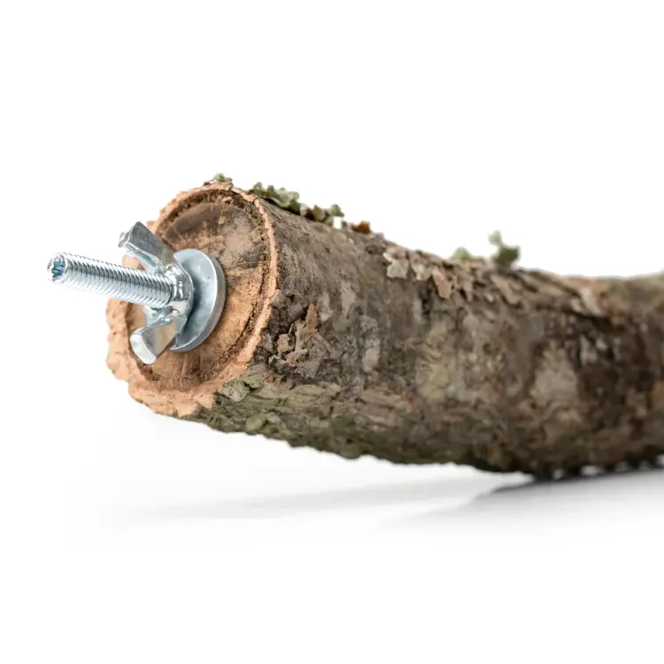 Přírodní tyčinka z větví korkového dubu S | pro malé a střední papoušky | korek pro papoušky od ParrotPlanet.cz