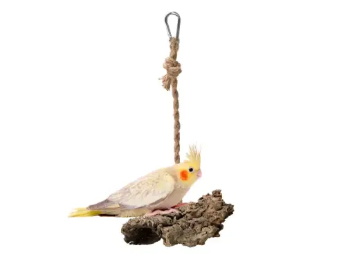 Přírodní houpačka | Plát z kůry korkového dubu | Korek na provázku pro malé a střední papoušky od ParrotPlanet.cz