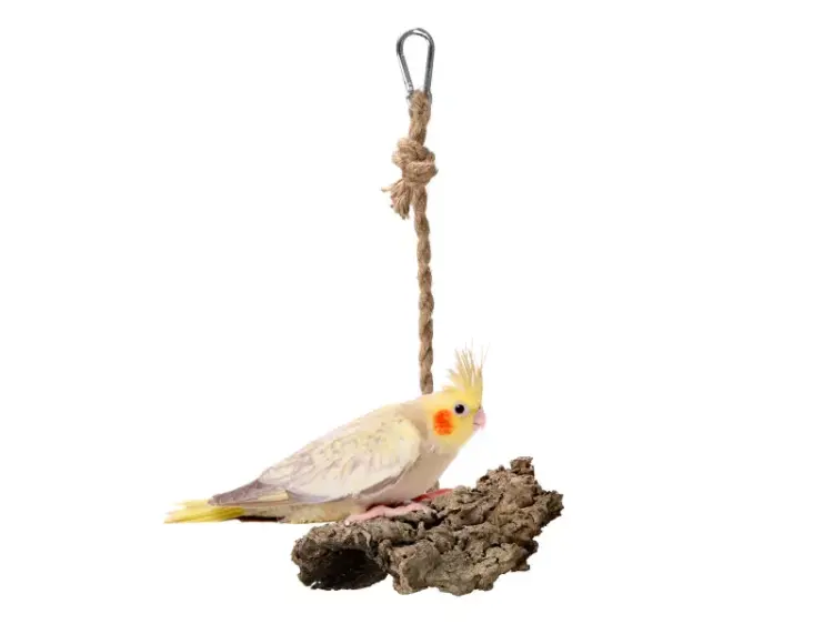 Přírodní houpačka | Plát z kůry korkového dubu | Korek na provázku pro malé a střední papoušky od ParrotPlanet.cz