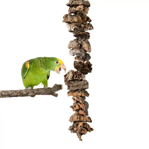 Přírodní hračka z kůry korkového dubu XL | Kousátko pro střední a velké papoušky | Korková hračka pro papoušky od ParrotPlanet.cz