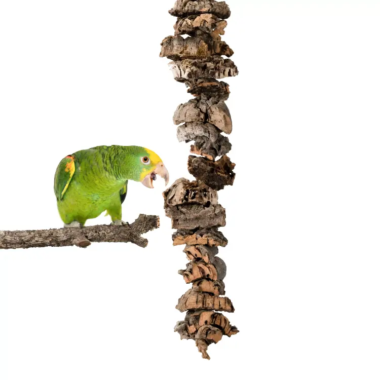 Přírodní hračka z kůry korkového dubu XL | Kousátko pro střední a velké papoušky | Korková hračka pro papoušky od ParrotPlanet.cz