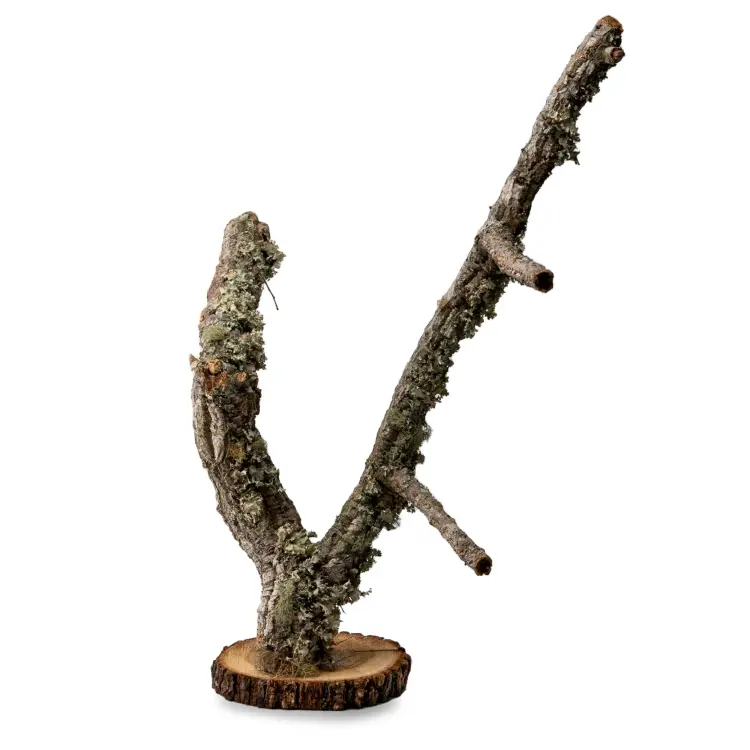 Stojan pro papoušky | Strom korkový dub | na stůl pro papoušky | 30 cm od ParrotPlanet.cz