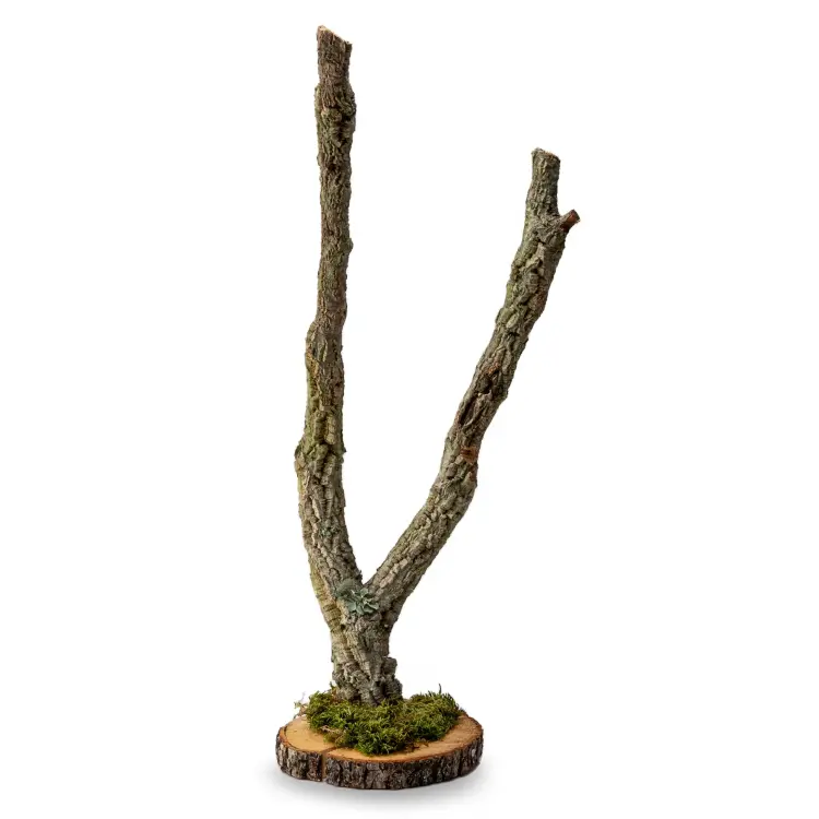 Stojan pro papoušky | Strom z korkového dubu | na stůl pro střední papoušky | 60 cm od ParrotPlanet.cz