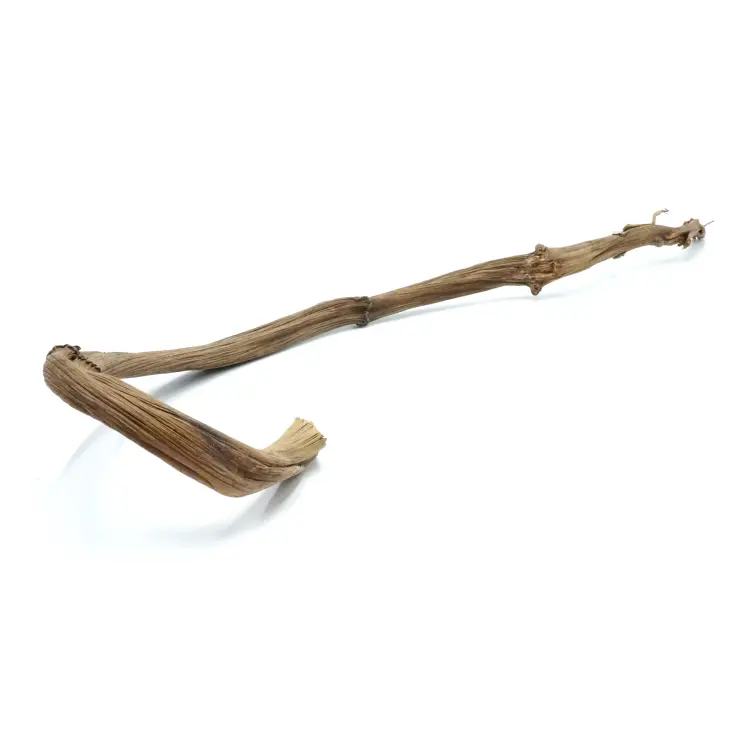 Přírodní liana z banánovníku pro všechny papoušky 60-70 cm od ParrotPlanet.cz