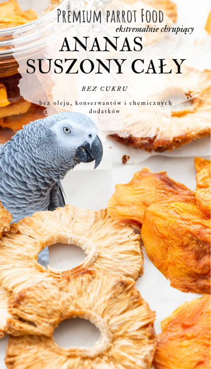 Prémiové krmivo pro papoušky | Přirozeně sušený ananas | Přírodní pamlsek pro všechny papoušky 100 g od ParrotPlanet.cz