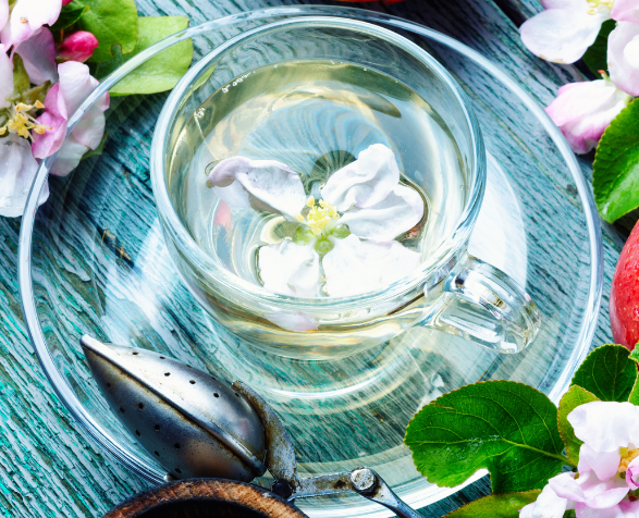 Apple Mint Parrot Tea | Organický čaj | Čaj pro papoušky | Jablečno-mátový 100 g od ParrotPlanet.cz