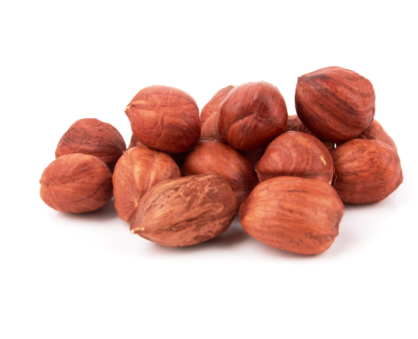 Premium Parrot Food - Ekologické ořechy Laskowe - pro všechny papoušky 100 g od ParrotPlanet.cz