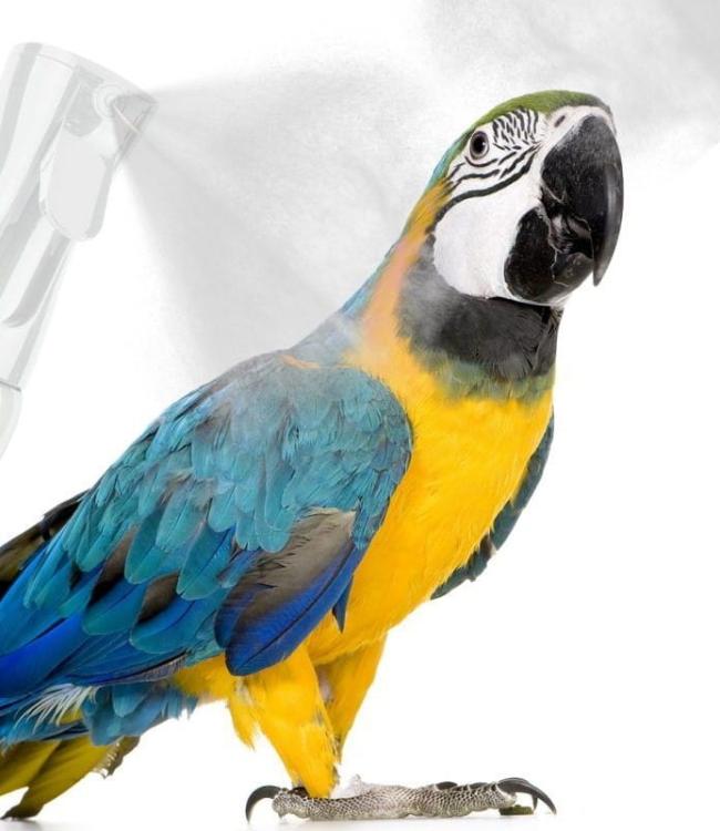 Extreme MistMaker - Rozprašovač pro papoušky 500 ml - Bílý od ParrotPlanet.cz