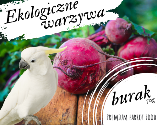 Premium Parrot Food – BIO červená řepa – pro všechny papoušky 70 g od ParrotPlanet.cz