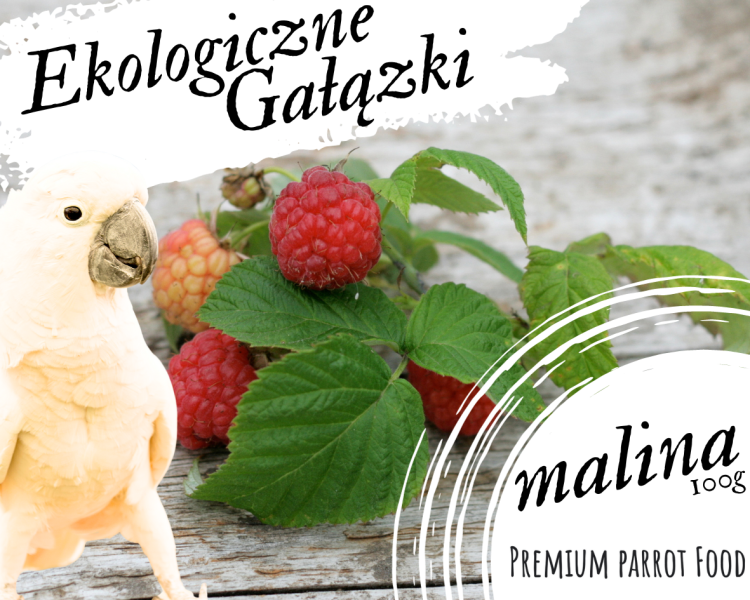 Premium Parrot Food – Bio Malinové větvičky – pro všechny papoušky 100 g od ParrotPlanet.cz