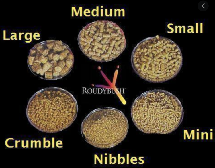 RoudyBush Maintenance Mini 0,628 kg – přírodní granule pro nimfy a jiné malé a střední papouškyod ParrotPlanet.cz