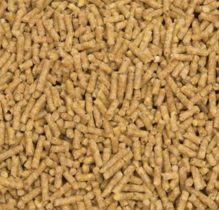 RoudyBush Maintenance Mini 0,628 kg – přírodní granule pro nimfy a jiné malé a střední papouškyod ParrotPlanet.cz