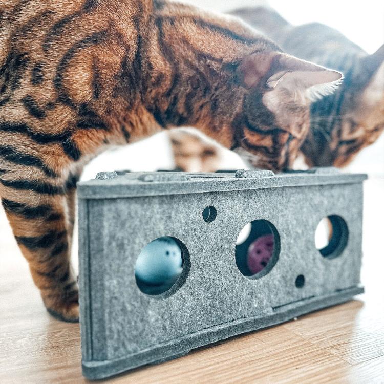 Cheese Catch | Canadian Cat | Hračka pro KOČKY | Interaktivní | 28x28x13 cm od ParrotPlanet.cz