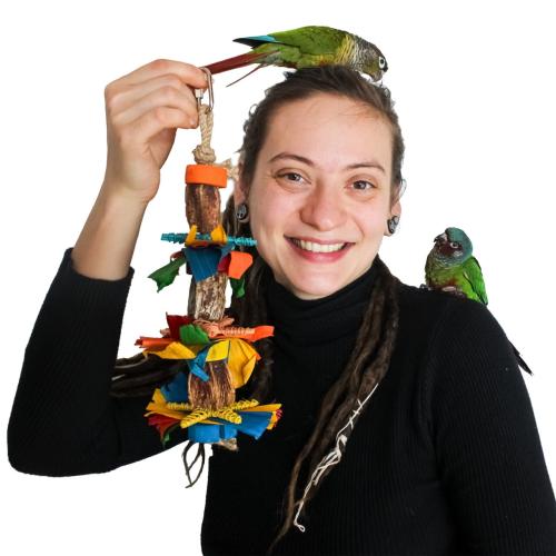 Sweet Delight  - Hračka pro střední papoušky od ParrotPlanet.cz