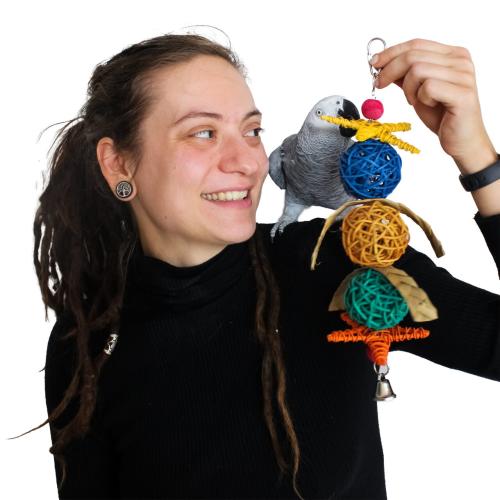 Trojité míčky - Hračka pro malé a střední papoušky od ParrotPlanet.cz