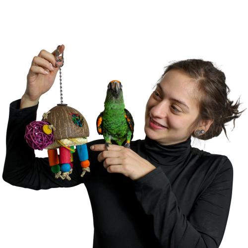 Coconut turtle – Hračka pro středně velké papoušky od ParrotPlanet.cz