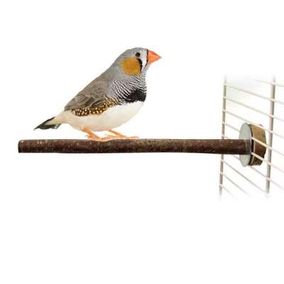 Živá příroda | Jednoduchá, přírodní tyčinka pro malé papoušky od ParrotPlanet.cz