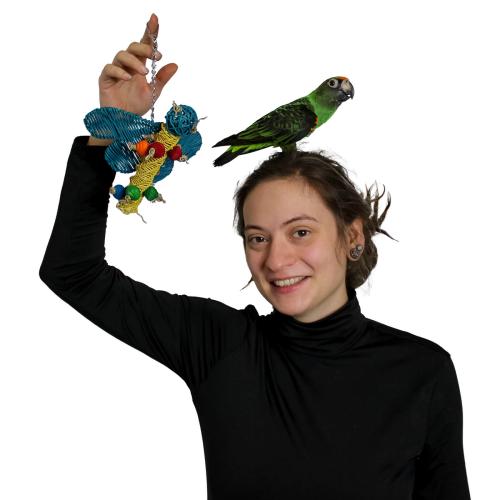 Motýlek – hračka pro malé papoušky od ParrotPlanet.cz