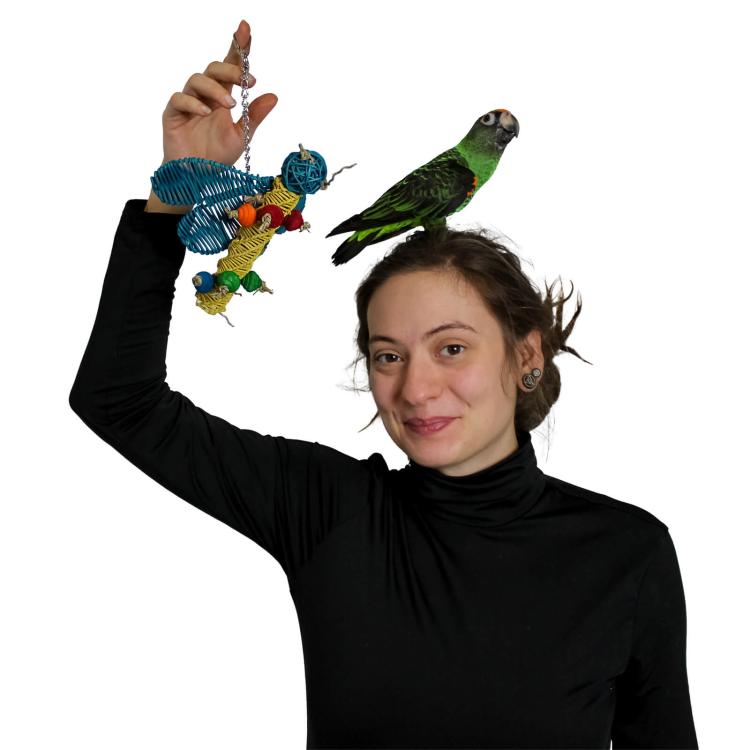 Motýlek – hračka pro malé papoušky od ParrotPlanet.cz