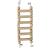 Wonderful Ladder – hračka pro malé a střední papoušky od ParrotPlanet.cz