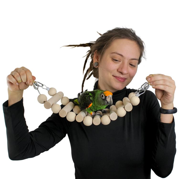 Wonderful Ladder – hračka pro malé a střední papoušky od ParrotPlanet.cz