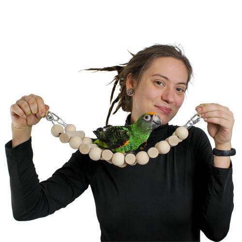 Wonderful Ladder – hračka pro malé a střední papoušky od ParrotPlanet.cz