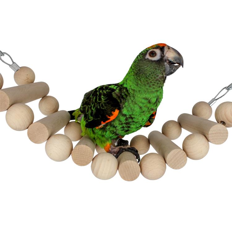Wonderful Ladder – hračka pro malé a střední papoušky od ParrotPlanet.cz