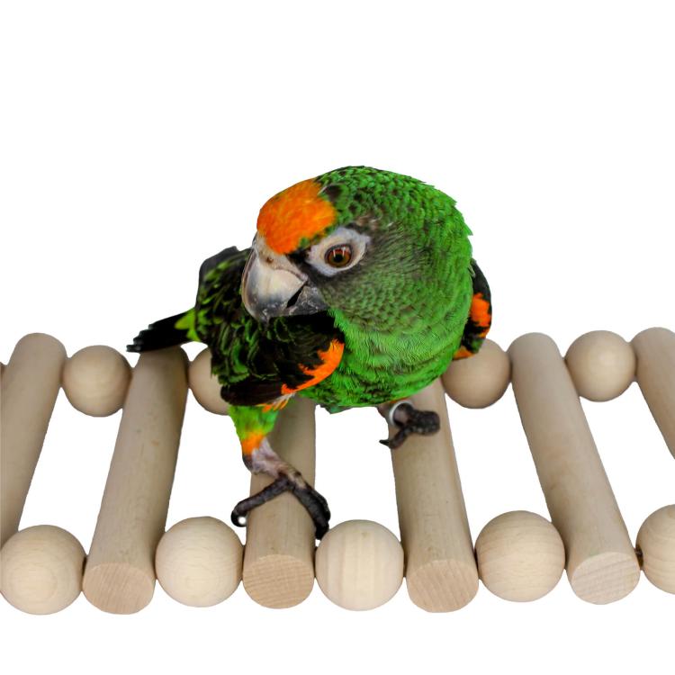 Wonderful Ladder – hračka pro malé a střední papoušky od ParrotPlanet.cz