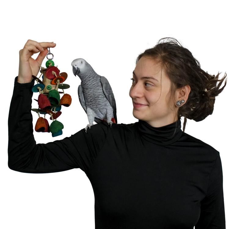 LEAVES - Zabawka dla średnich papug od ParrotPlanet.pl