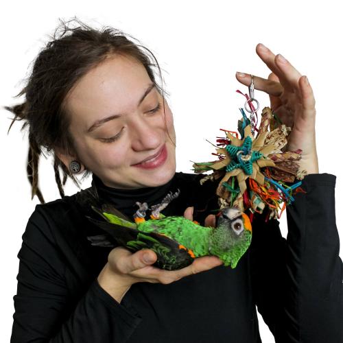 Mini disky  - Hračka pro  malé a střední papoušky od ParrotPlanet.cz
