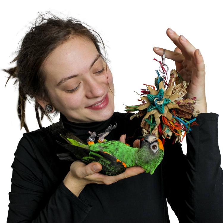 Mini disky  - Hračka pro  malé a střední papoušky od ParrotPlanet.cz