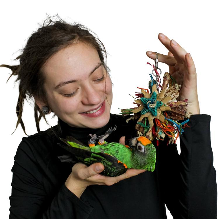 Mini disky  - Hračka pro  malé a střední papoušky od ParrotPlanet.cz