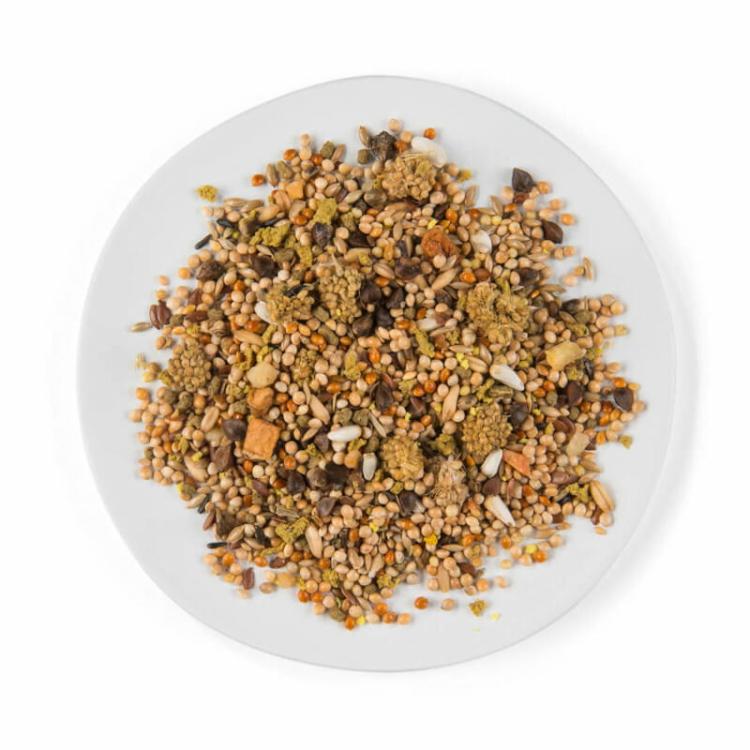 WITTE MOLEN PUUR BUDGIE 2 kg | krmivo určené pro vlnkované papoušky od ParrotPlanet.cz