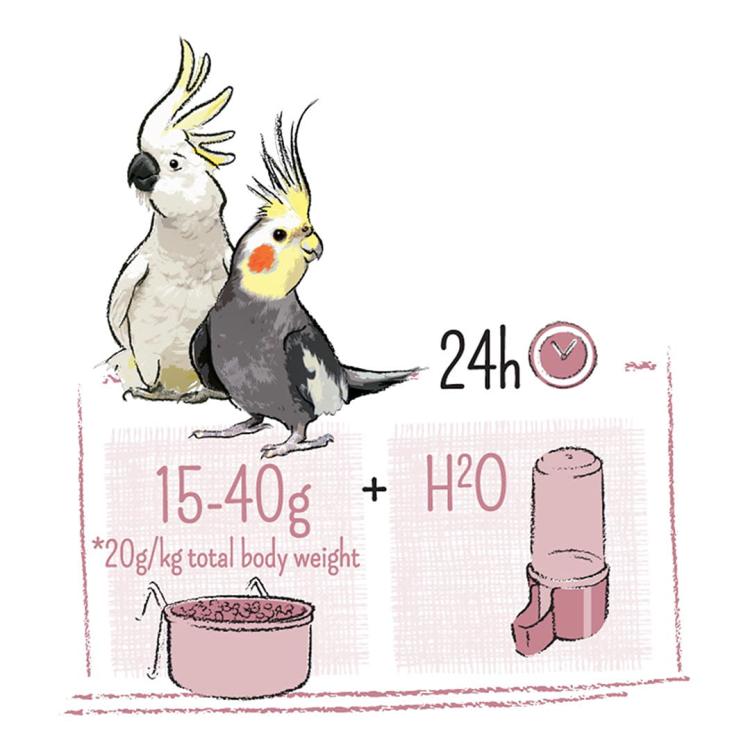 WITTE MOLEN PUUR LARGE PARAKEET 750 g  | krmivo určené pro papoušky druhu Nymphicus hollandicus, kakadu a další australské papoušky od ParrotPlanet.cz