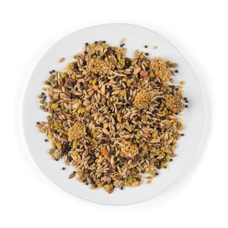 WITTE MOLEN PUUR CANARY 750 g | krmivo určené pro kanárky od ParrotPlanet.cz