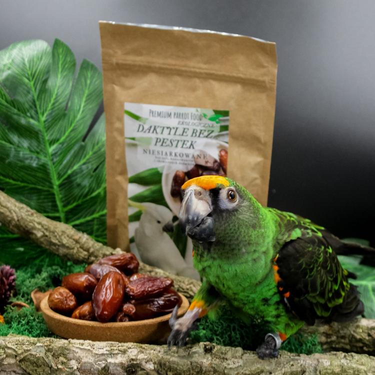 Premium Parrot Food – Ekologické datle pro všechny papoušky 100 g od ParrotPlanet.cz