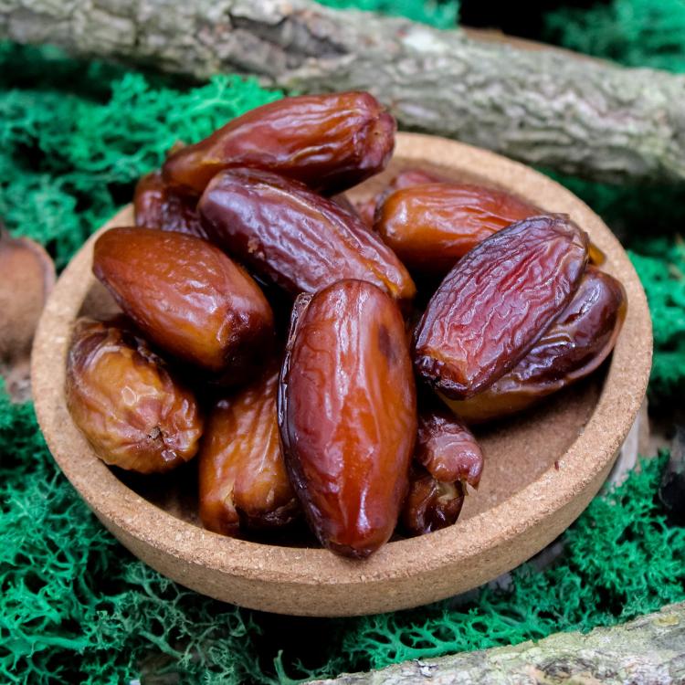 Premium Parrot Food – Ekologické datle pro všechny papoušky 100 g od ParrotPlanet.cz