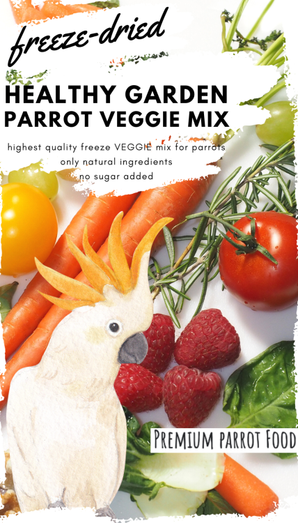 Premium Parrot Food - Healthy Garden Veggie Mix  -Zeleninové chipsy  pro všechny papoušky 20 g od ParrotPlanet.cz
