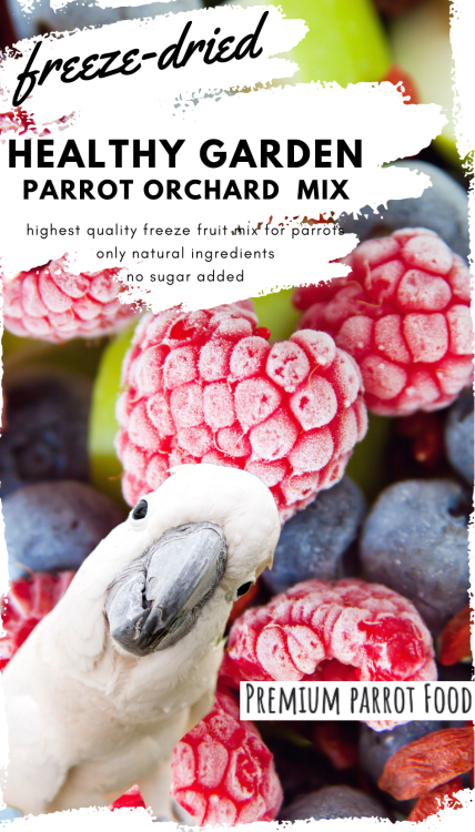 Premium Parrot Food - Healthy Garden Orchard - Lyofilizované kousky pro všechny papoušky 40 g od ParrotPlanet.cz