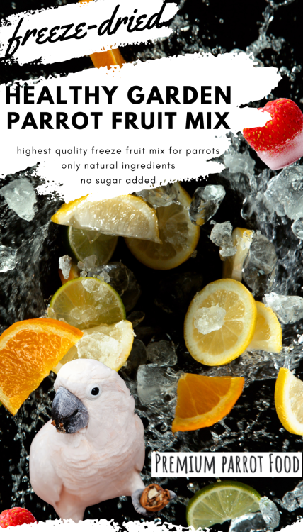 Premium Parrot Food - Healthy Garden Fruit Mix  - Lyofilizované křupky pro všechny papoušky 40 g od ParrotPlanet.cz