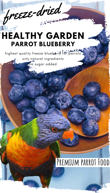 Premium Parrot Food - Healthy Garden Bluberry  - Lyofilizované kousky pro všechny papoušky 30 g od ParrotPlanet.cz