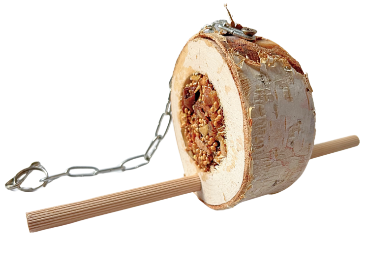 Kulaté dřevěné kousky s ovocem a semínky – pro malé a střední papoušky od ParrotPlanet.cz