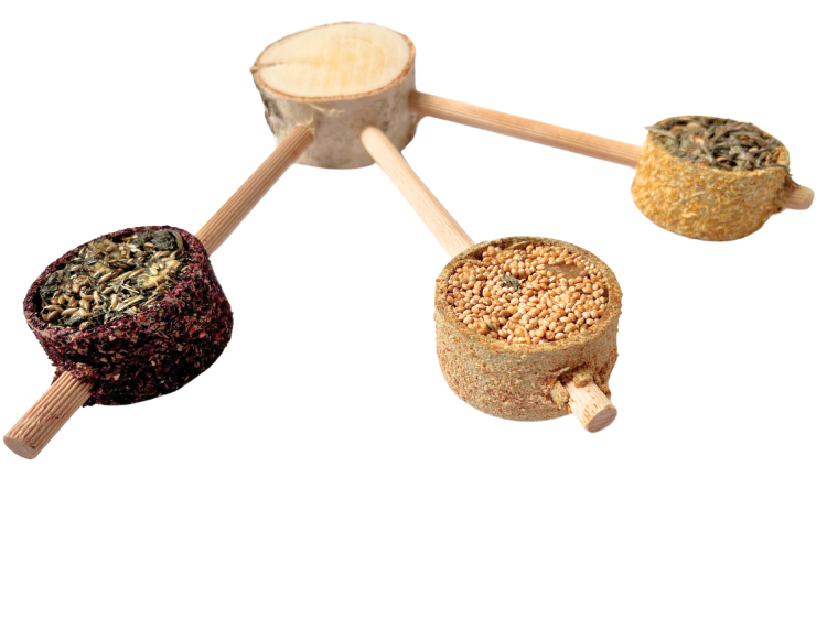 Chutné trio – pro malé a střední papoušky od ParrotPlanet.cz