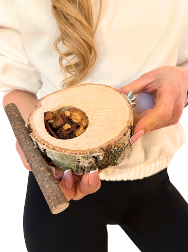 Březový stolek s ovocem – pro malé a střední papoušky od ParrotPlanet.cz