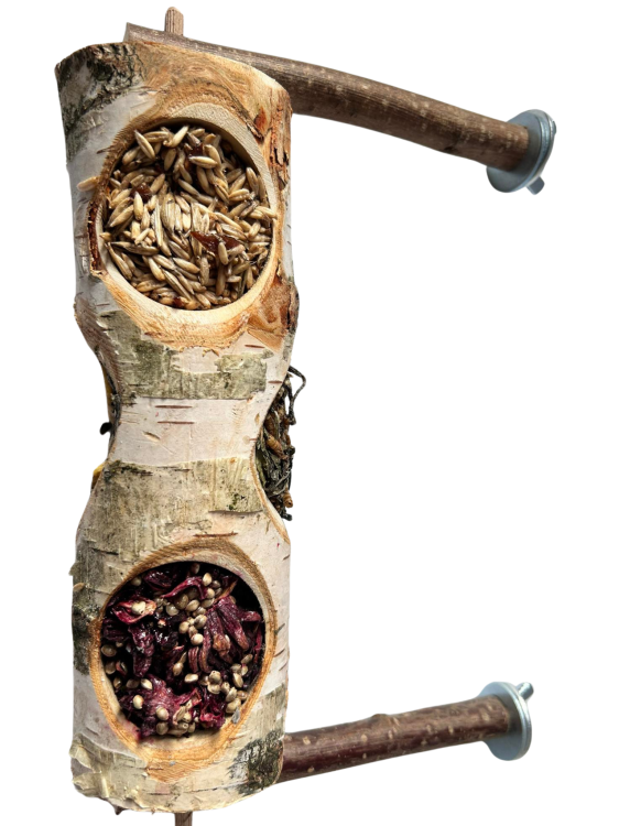 Tunýlek Ovoce se Semínky – pro všechny papoušky od ParrotPlanet.cz