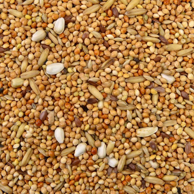 Wagner's Parakeet Food Carnival Basic - Vyvážené krmivo pro vlnkované papoušky a jiné malé papoušky 500 g od ParrotPlanet.cz