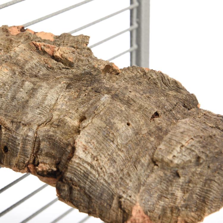 Tyč z kůry korkového dubu velikost XS – pro malé papoušky od ParrotPlanet.cz